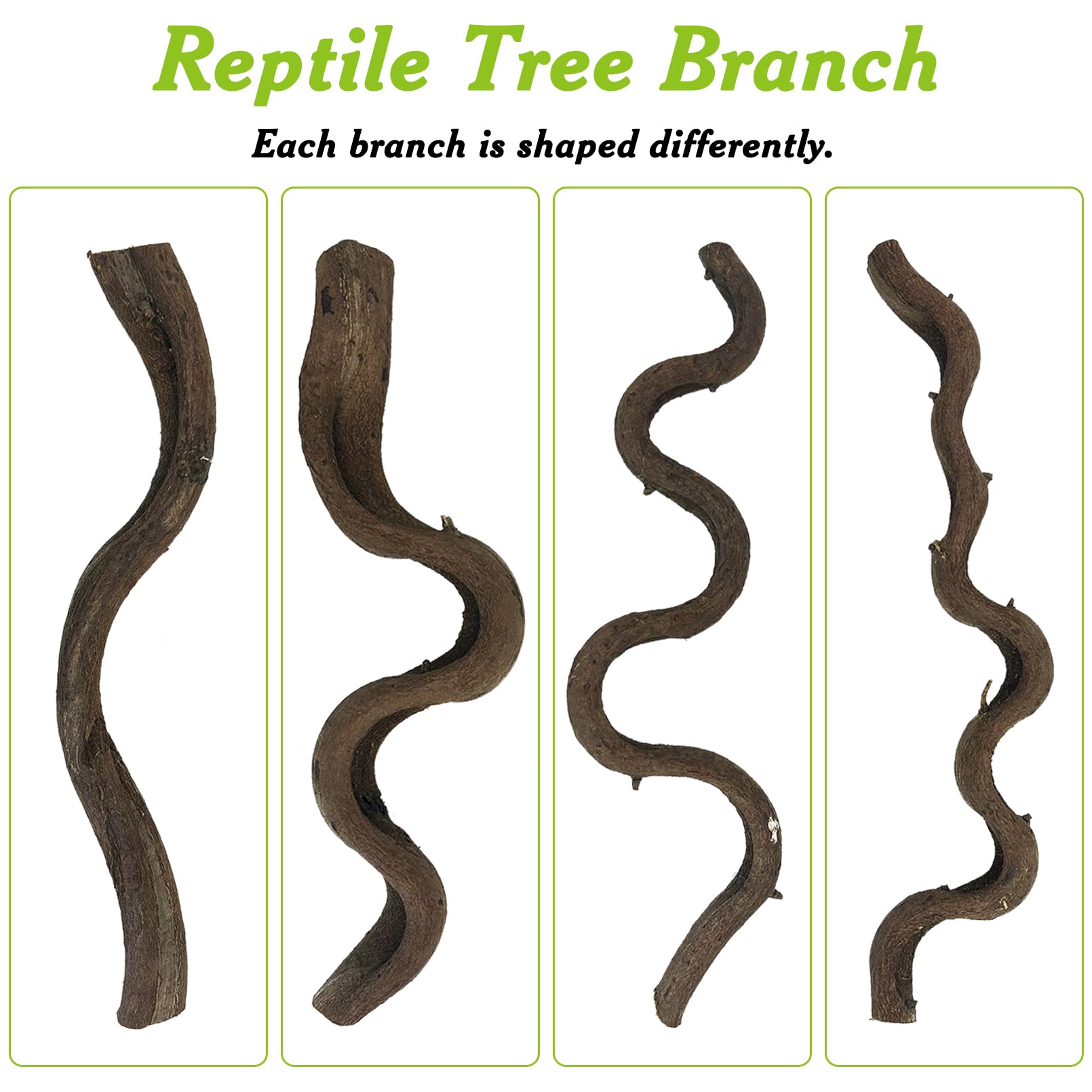 Apatal reptile-branch-tree-trunk-spiral demonstrates varied shapes for climbing