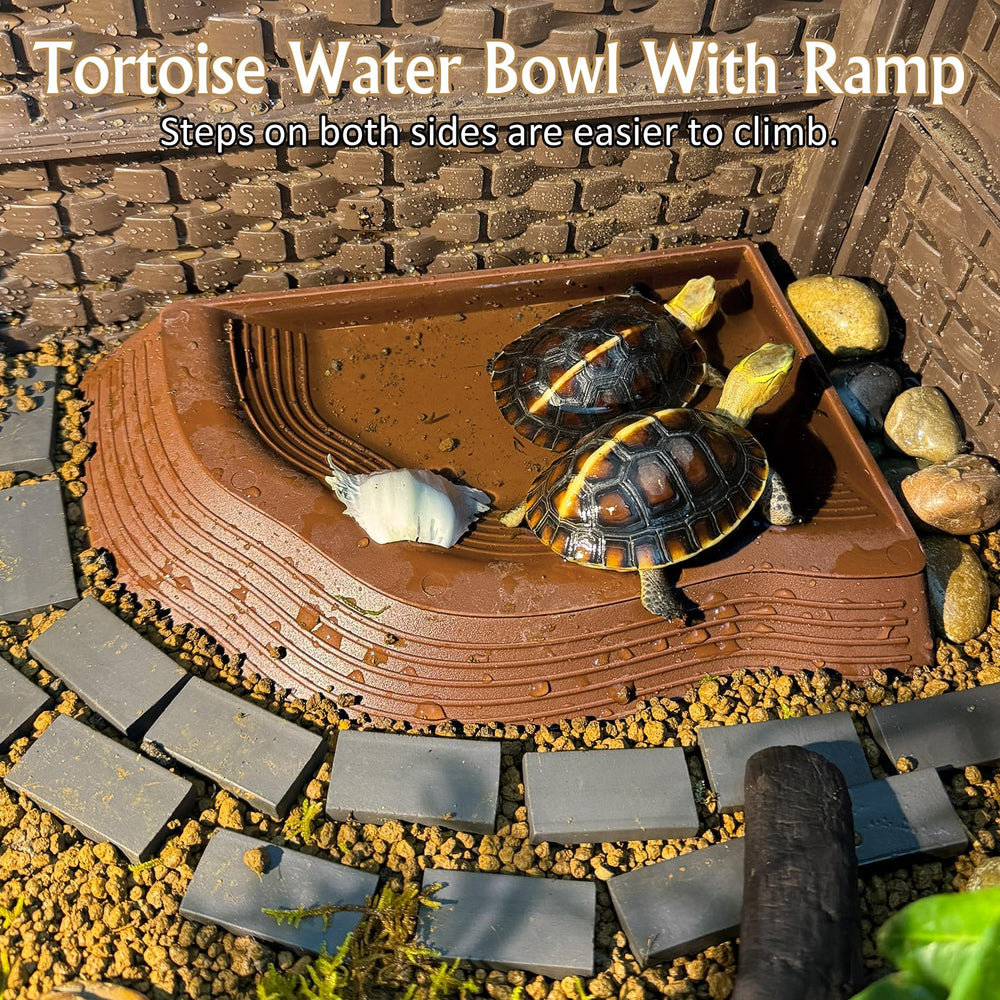 Apatal reptile feeding bowls help organized feeding and water access.