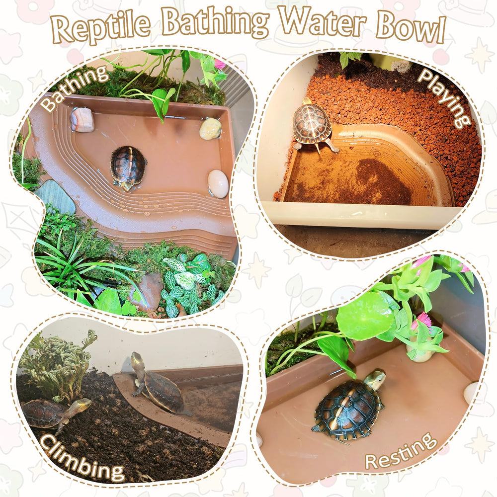 Apatal reptile food and water dish supports versatile feeding.