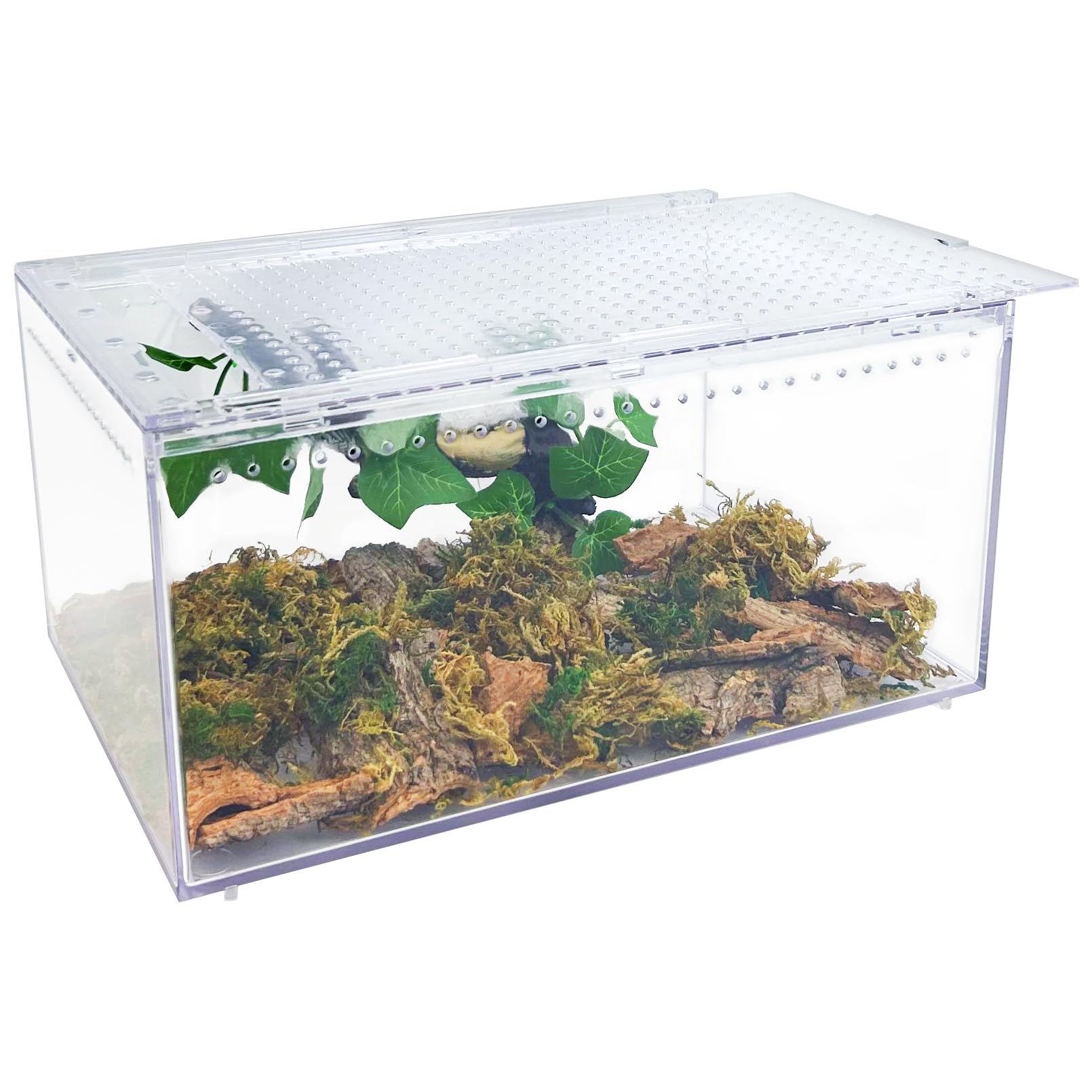 Apatal terrarium front view demonstrates a compact enclosure suitable for small reptiles.
