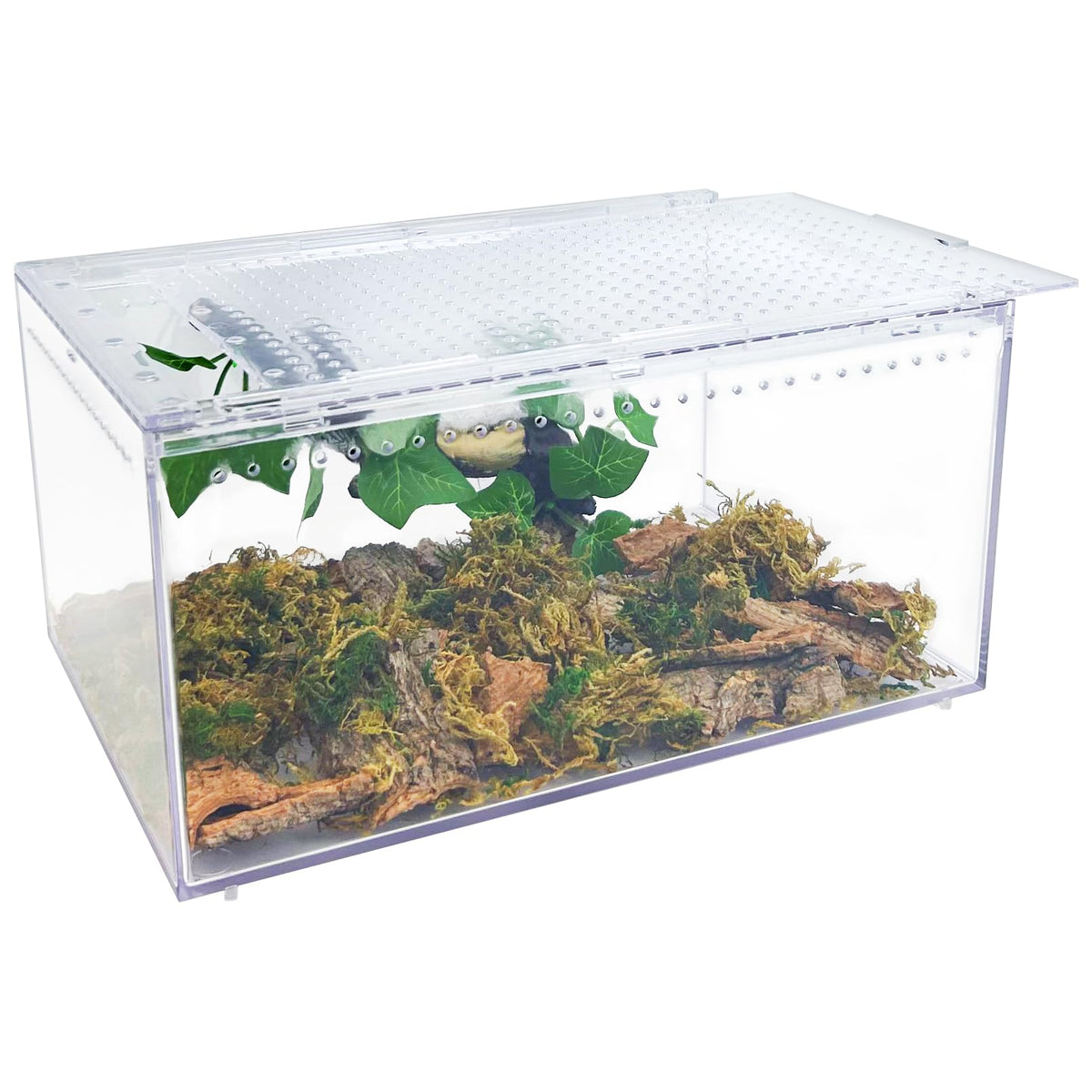 Apatal terrarium front view demonstrates a compact enclosure suitable for small reptiles.