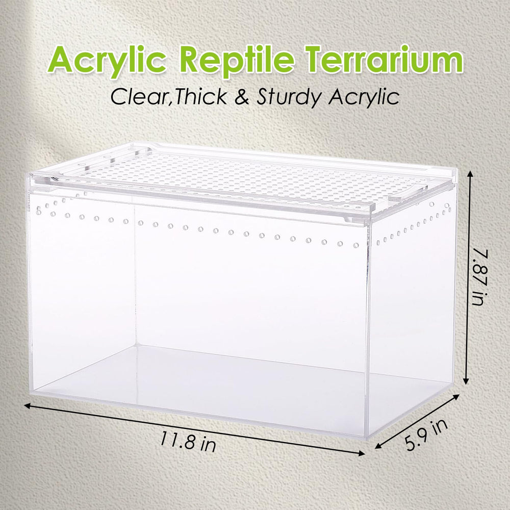 Apatal terrarium sliding-door-magnetic closure enables easy feeding and handling.
