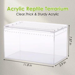 Apatal terrarium sliding-door-magnetic closure enables easy feeding and handling.