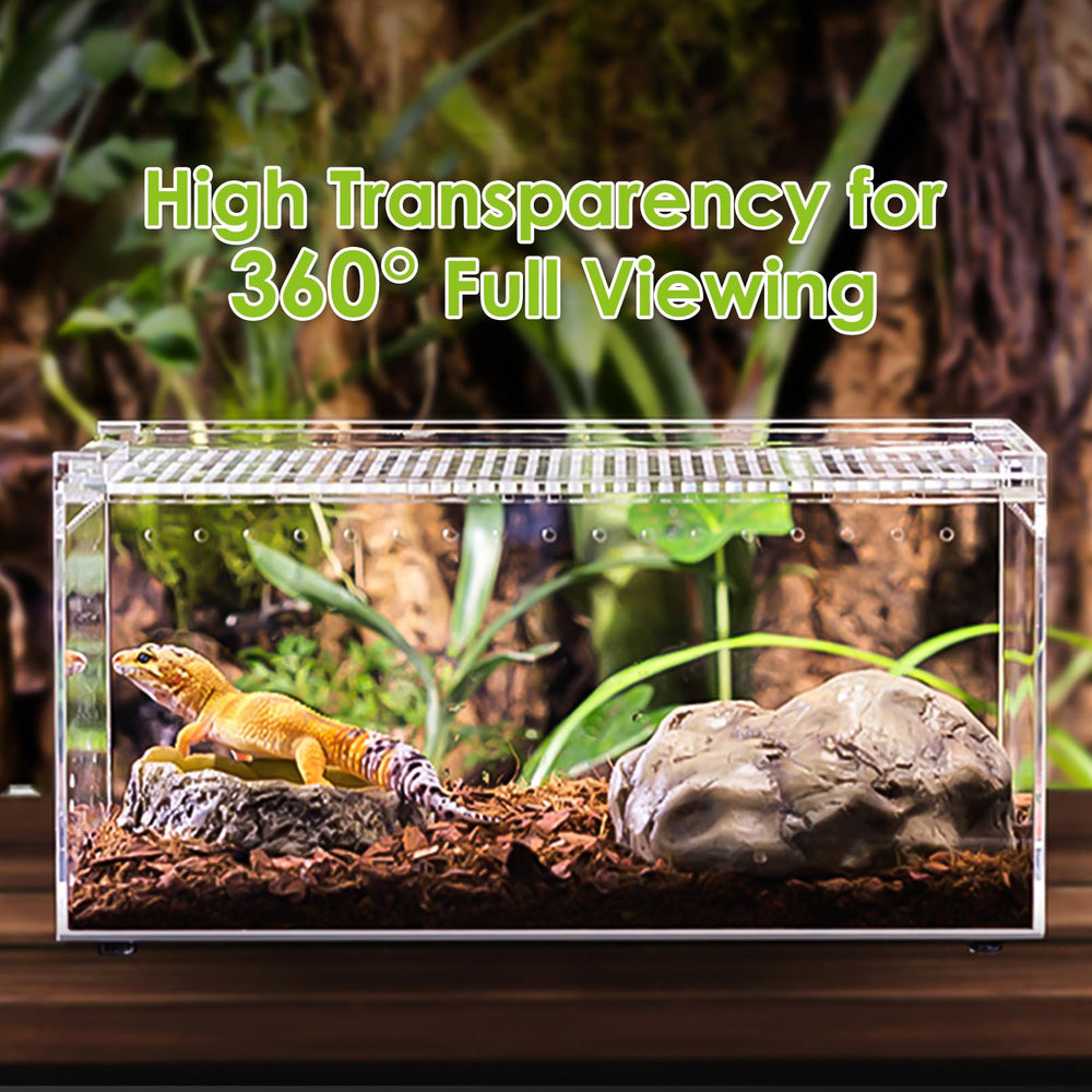 Apatal terrarium ventilation-holes ensure fresh air circulation for healthy enclosure life.