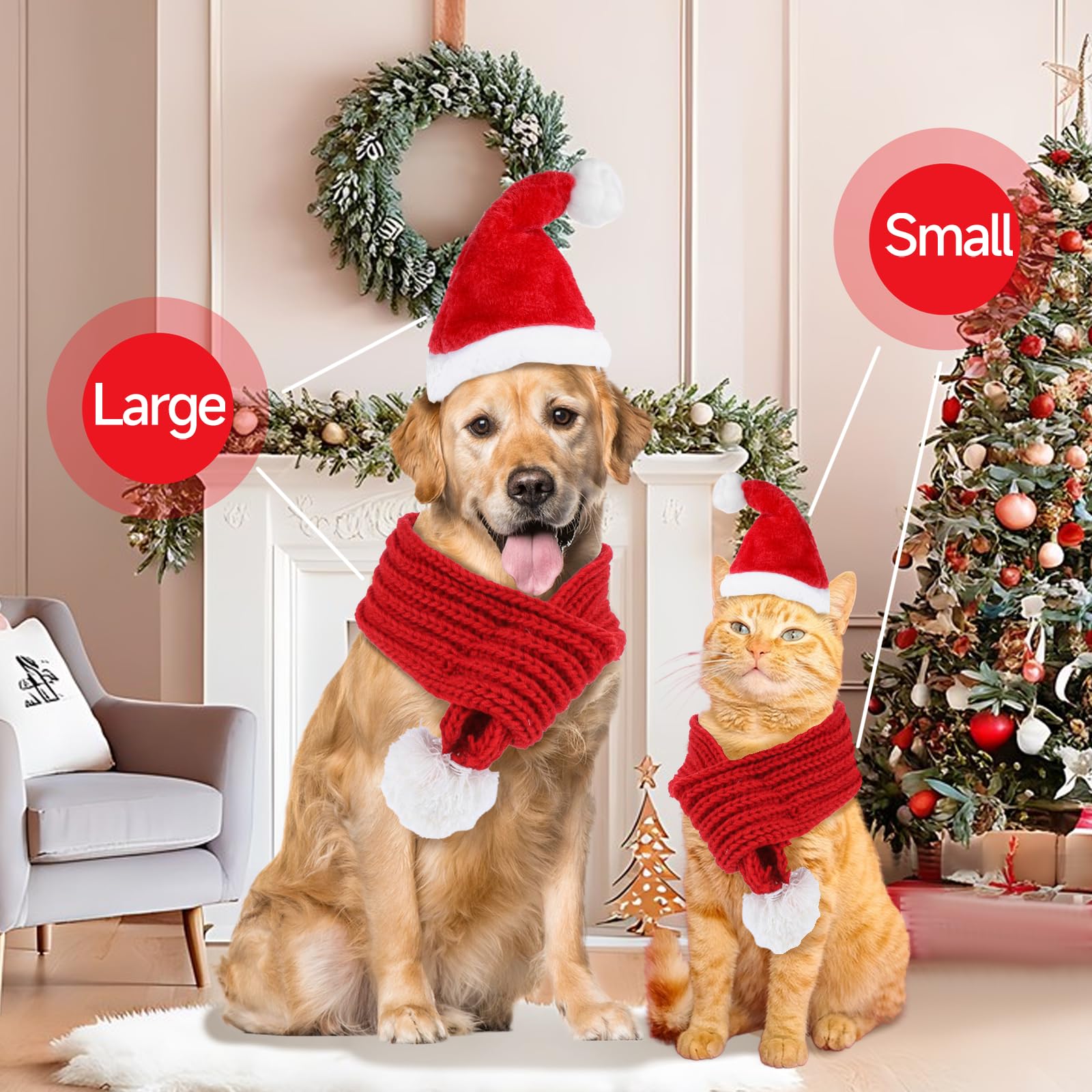 Apausvcm pet wearing hat and scarf during holiday photoshoot.