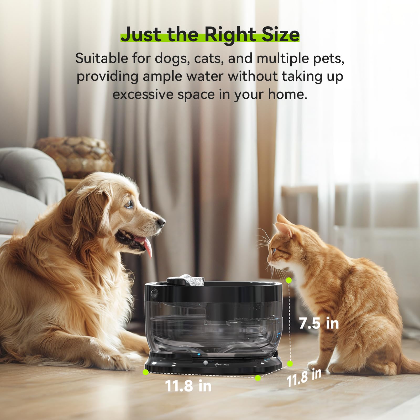 APD APETDOLA FP30 modern design complements any room while keeping hydration convenient.