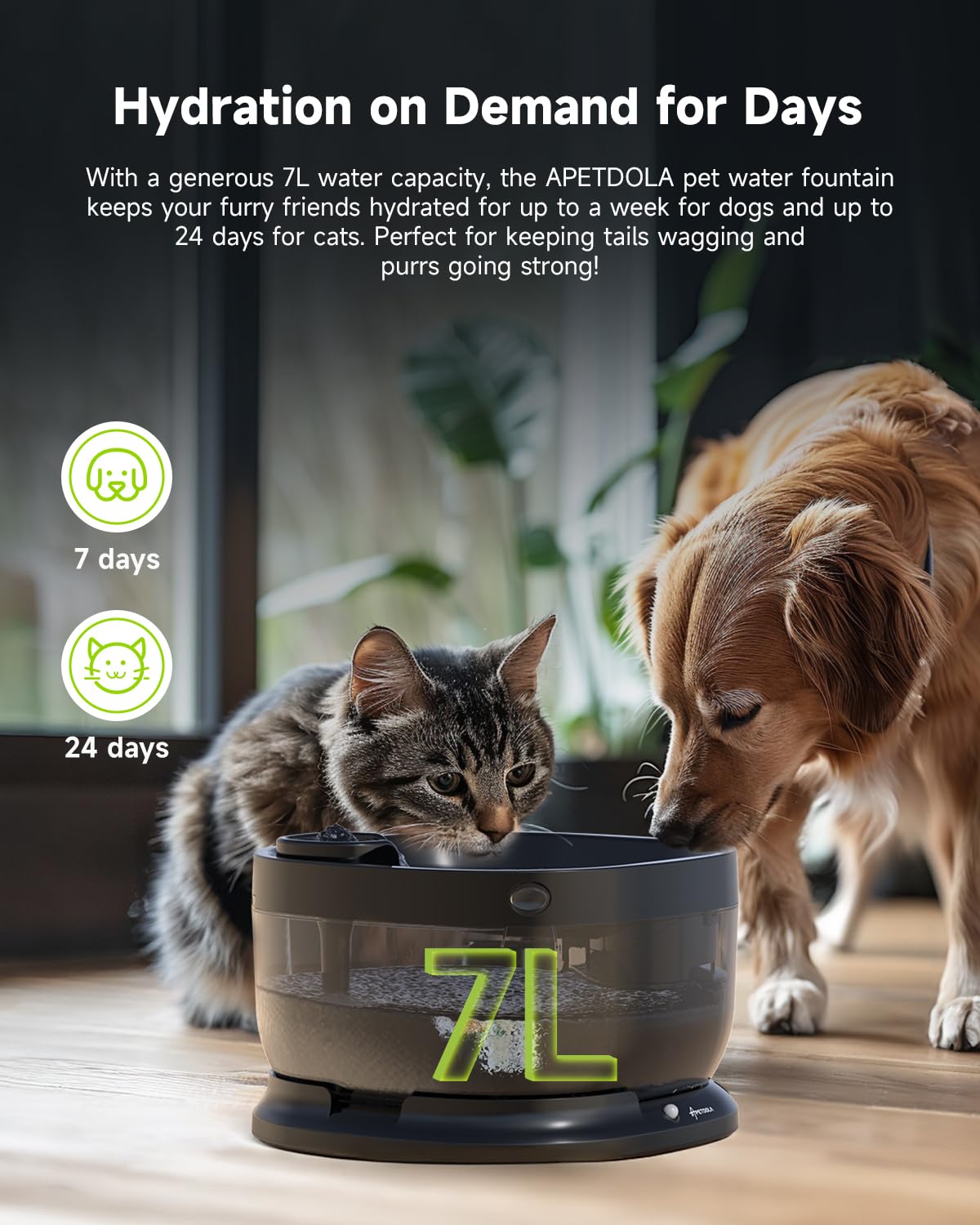 APD APETDOLA FP30 three modes illustrate customizable hydration with timing, sensor, and continuous flow.