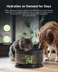 APD APETDOLA FP30 three modes illustrate customizable hydration with timing, sensor, and continuous flow.