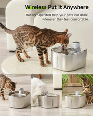 APD APETDOLA stainless steel water bowl offers rust resistance and easy cleaning.