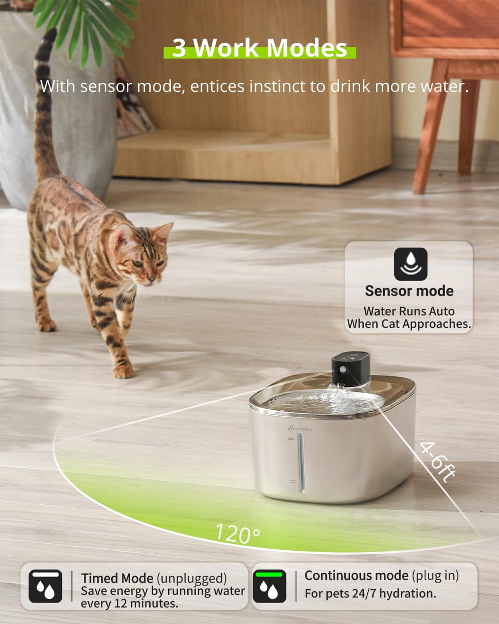 APETDOLA stainless steel body emphasizes easy cleaning and durability