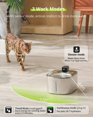 APETDOLA stainless steel body emphasizes easy cleaning and durability