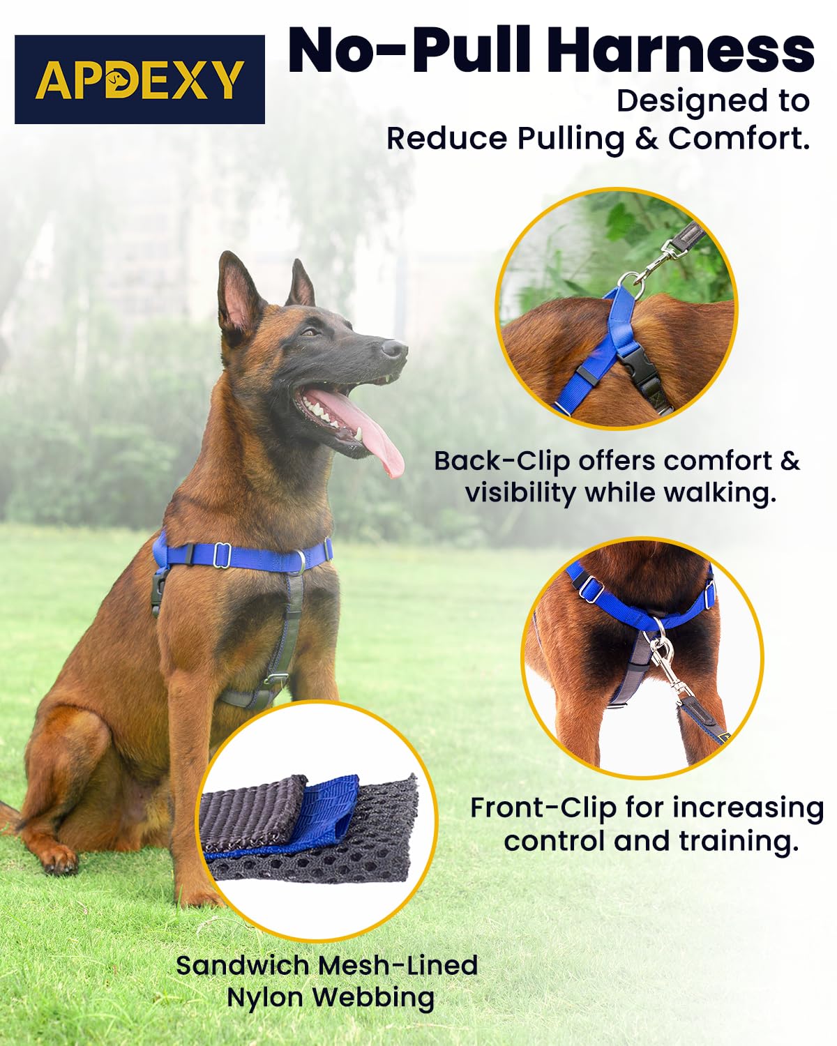 APDEXY harness with dual stainless steel D-Rings for durable leash control