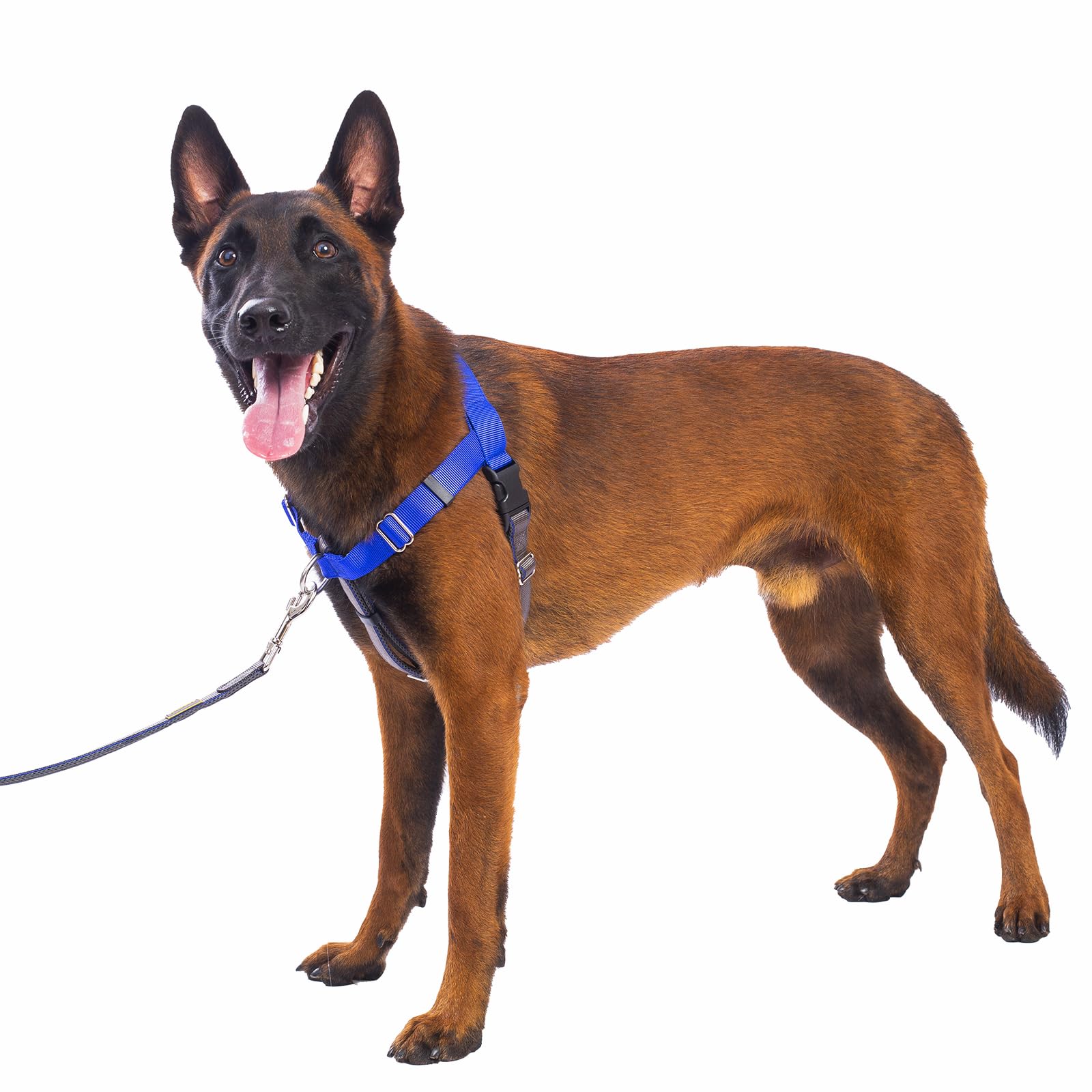 APDEXY Freedom No Pull Harness front clip blue XXL for controlled walks and reduced pulling