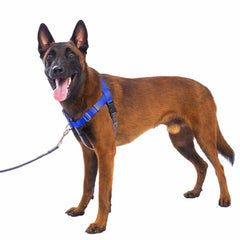 APDEXY Freedom No Pull Harness front clip blue XXL for controlled walks and reduced pulling