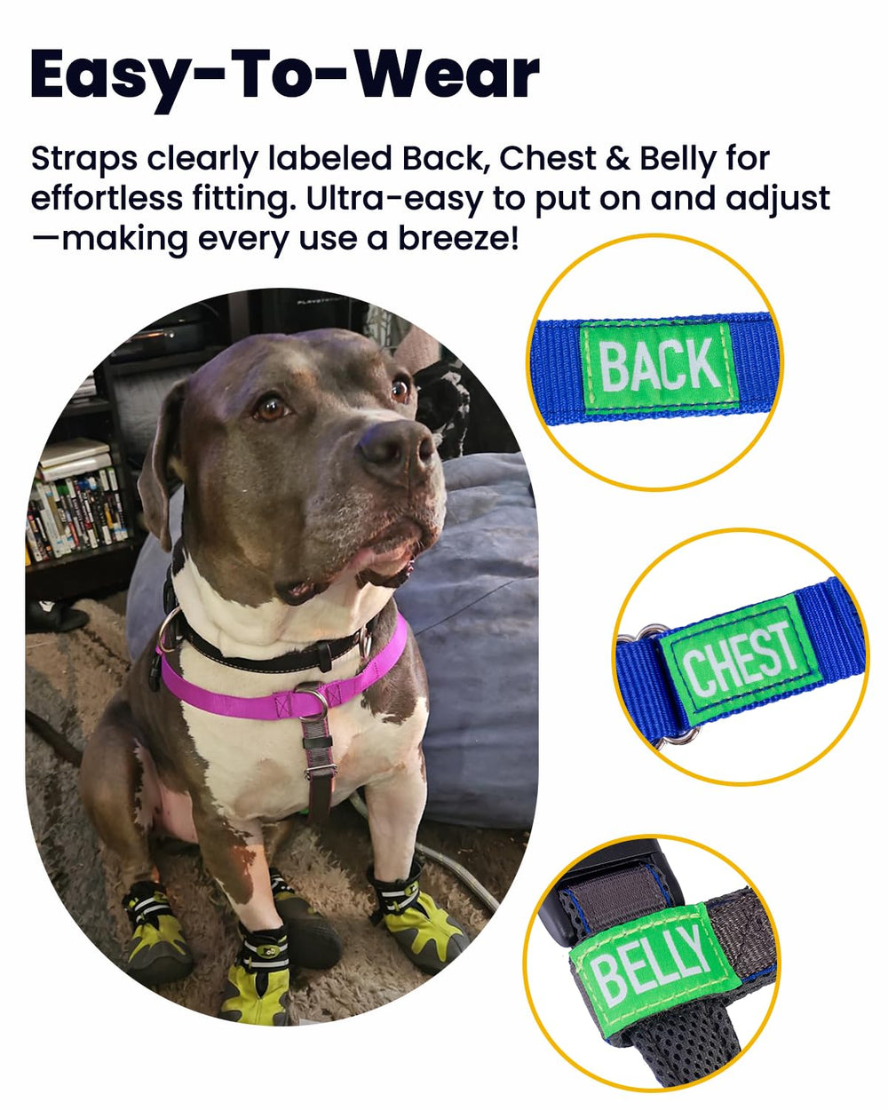 APDEXY soft mesh lining on a harness delivers breathable comfort during walks