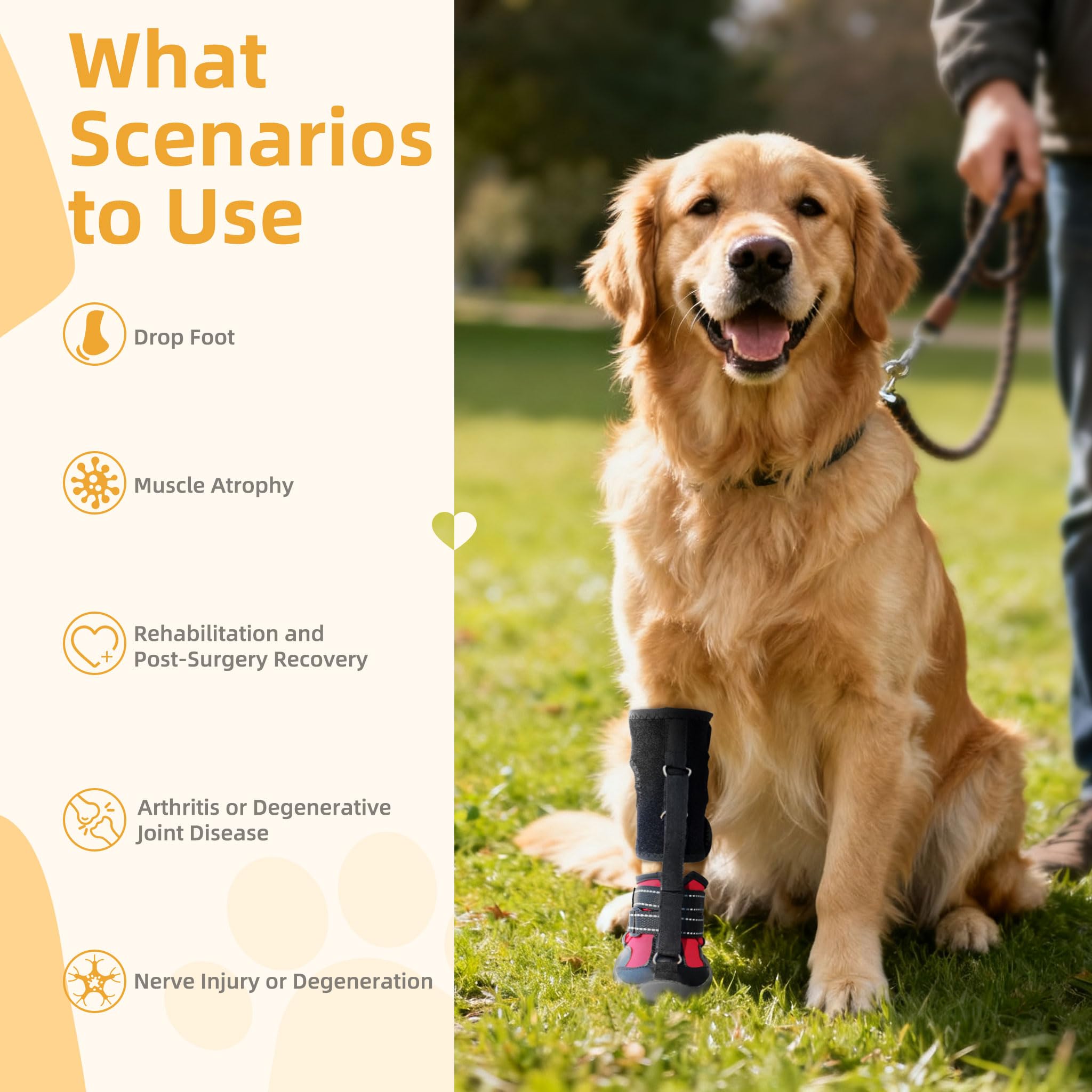 Apedret dog knee pads strap closeup showing adjustable fit and stability