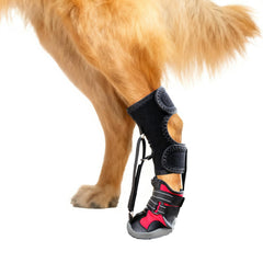 Apedret dog strap-on drop foot orthotics side view showing stability