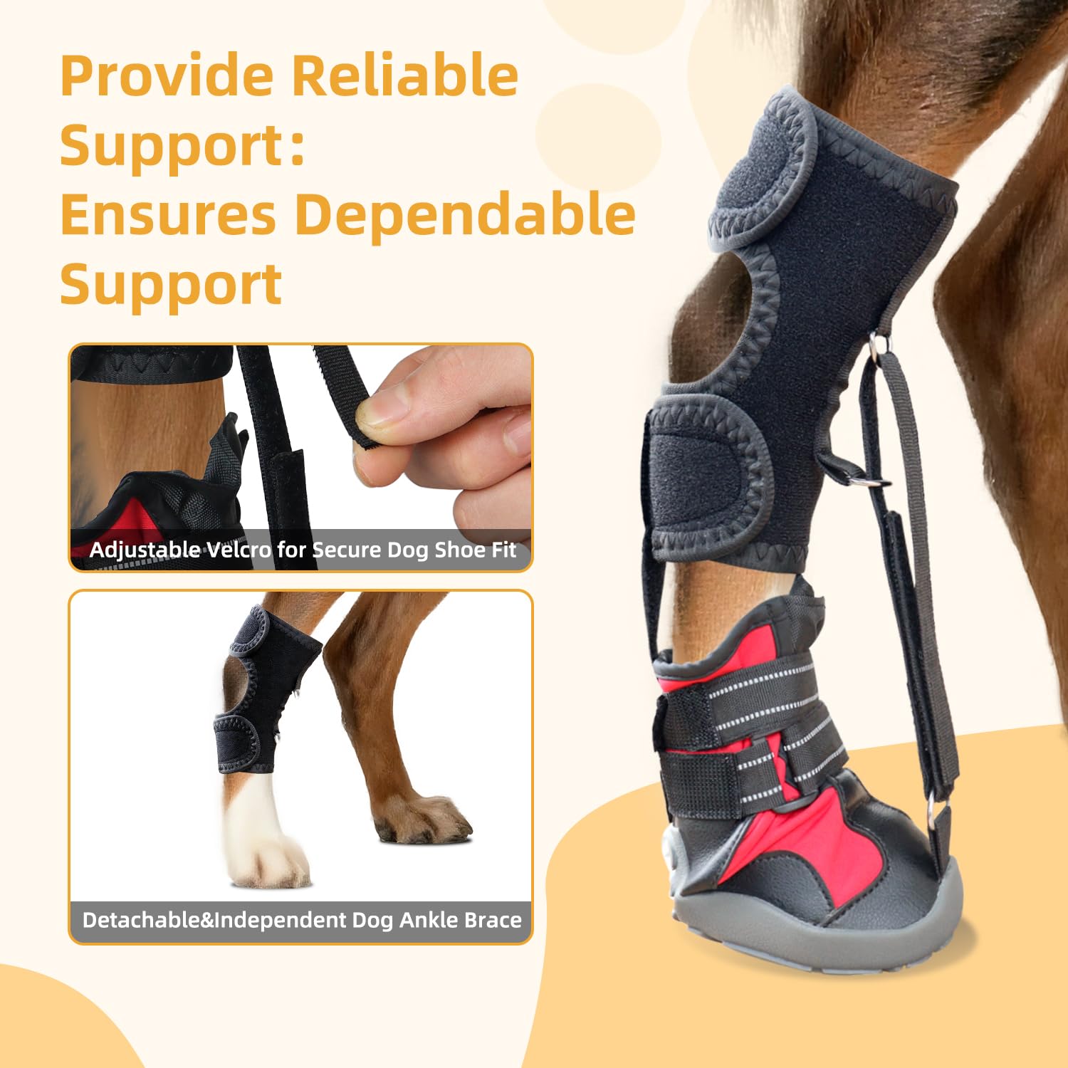 Apedret dog walking with brace demonstrates balance support