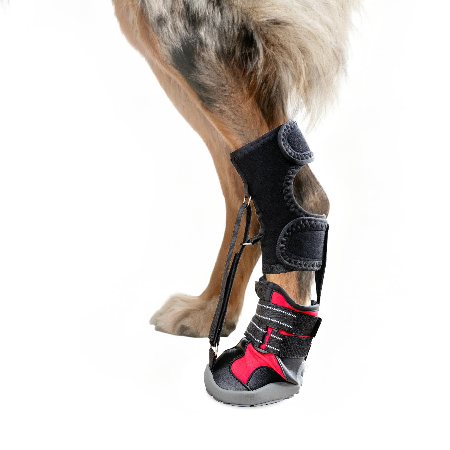 Apedret strap-on drop foot brace side view supports paw alignment during walks