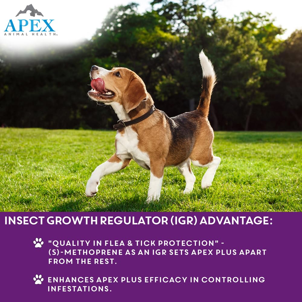 Apex Plus-30-day-protection-dogs indicates month-long flea and tick defense.