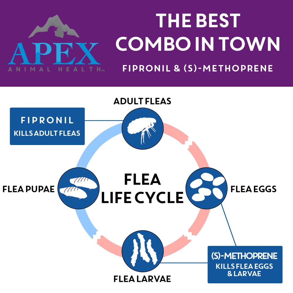 Apex Plus dog-waterproof-activation highlights protection during water exposure.