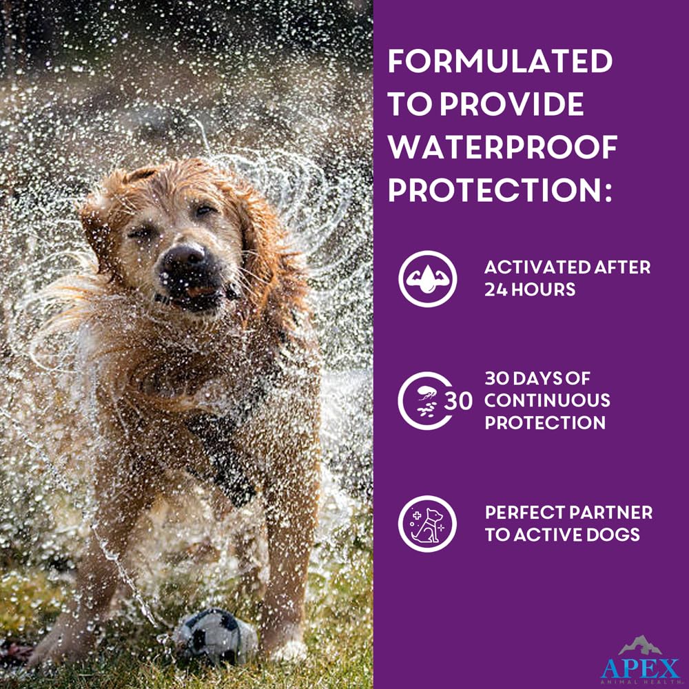 Apex Plus-easy-application-dogs shows simple, mess-free topically applied treatment.
