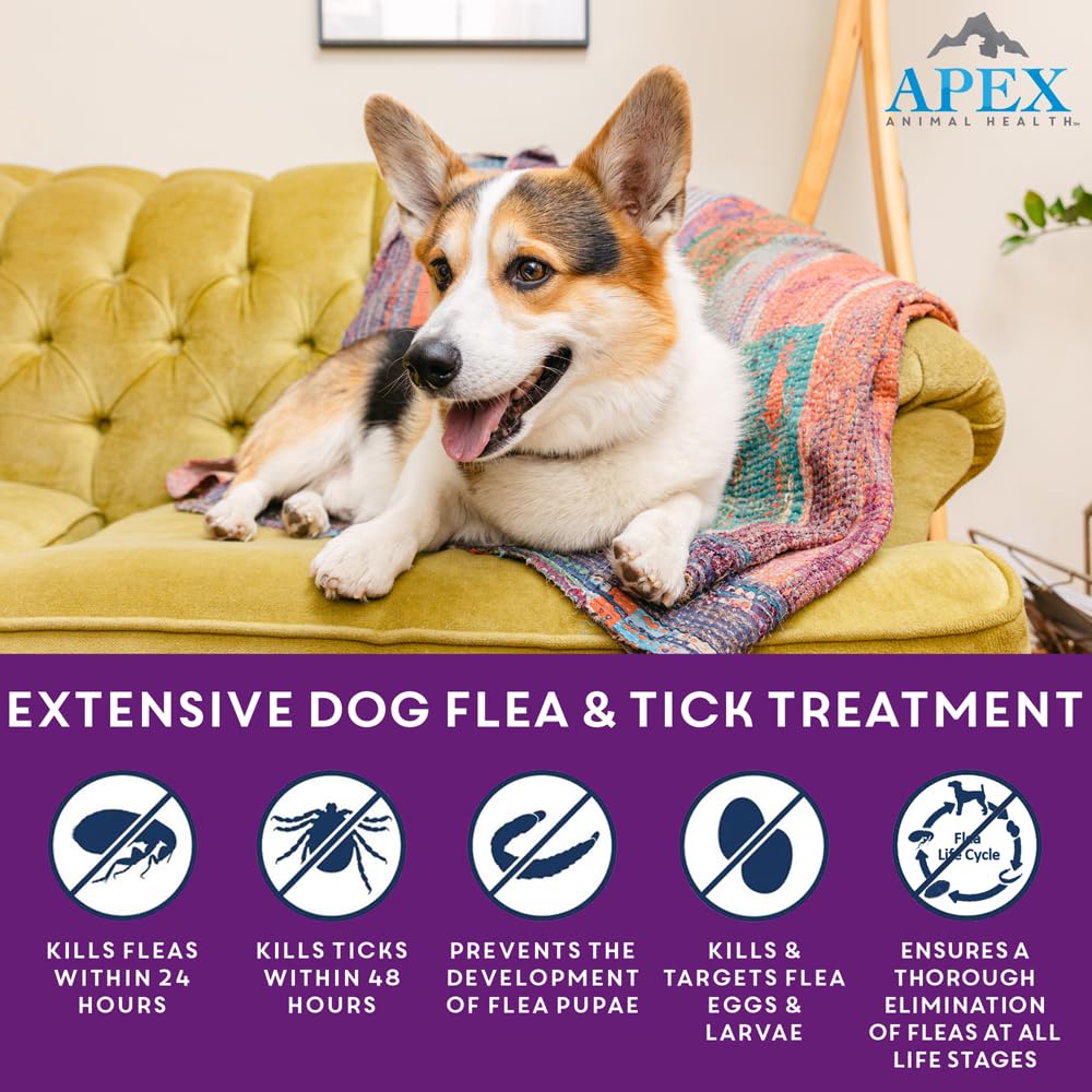 Apex Plus flea-life-cycle-control-dogs shows life-stage protection across fleas.
