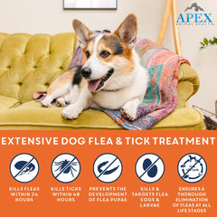 Apex Plus life-cycle control graphic highlighting IGR impact on flea eggs.