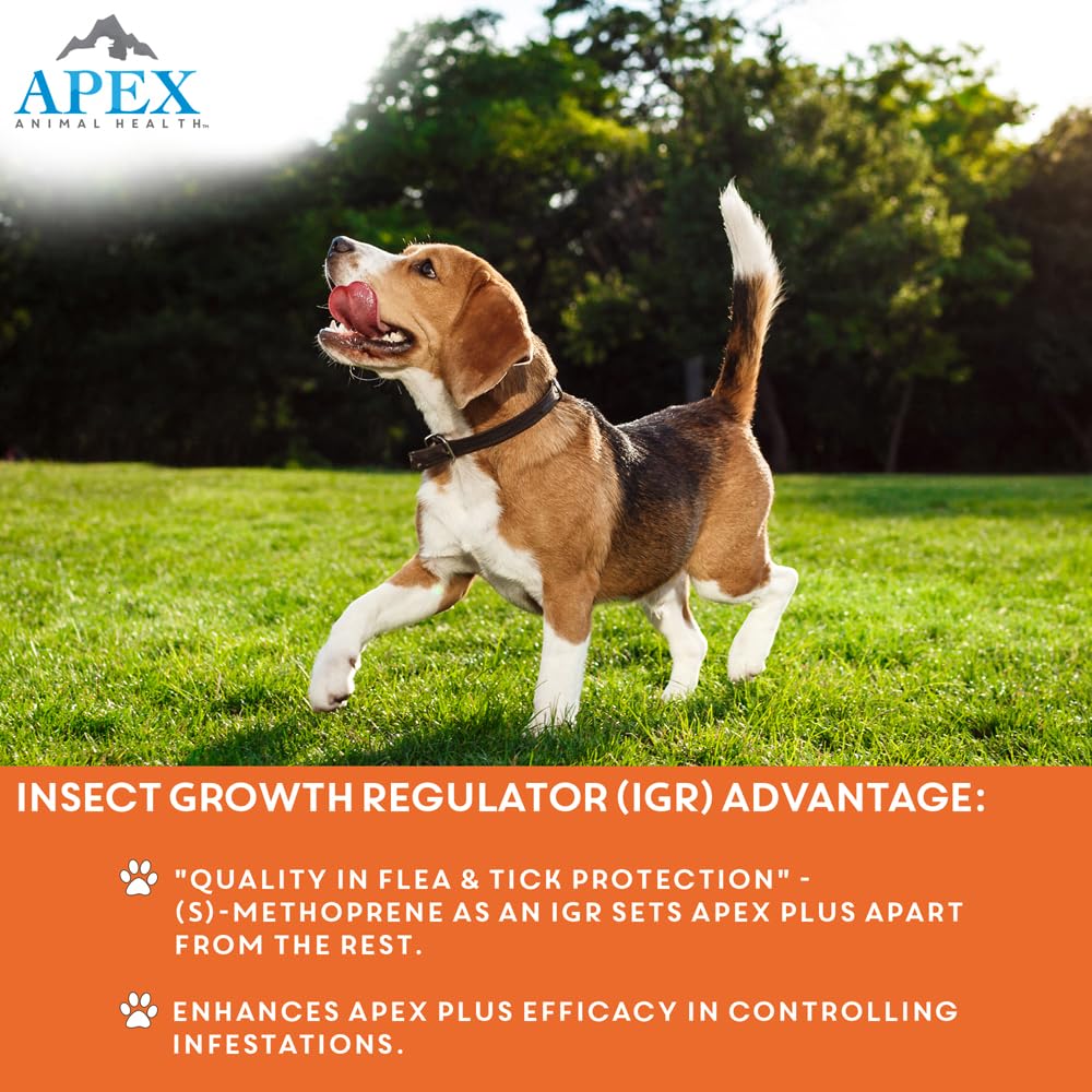 Apex Plus monthly application shot demonstrating easy dosing on a small dog.
