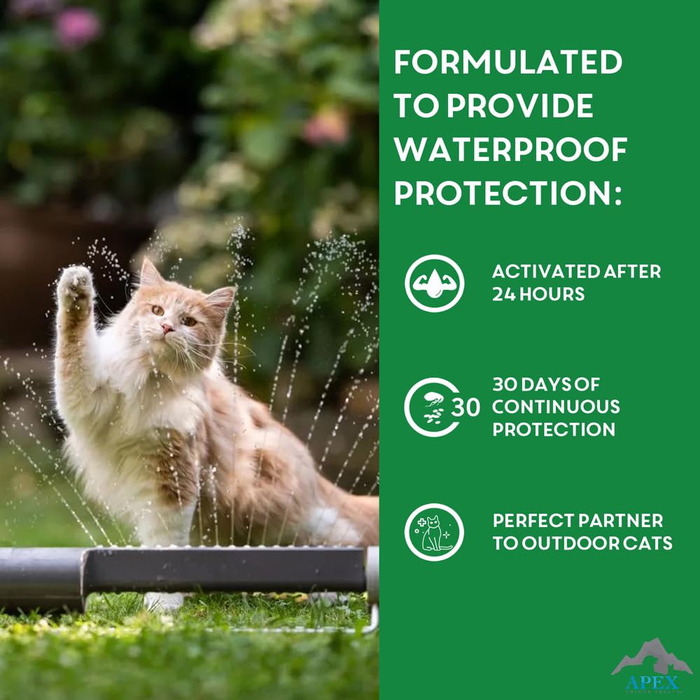 Apex Plus no-collar or oral medication option keeps cats comfortable.