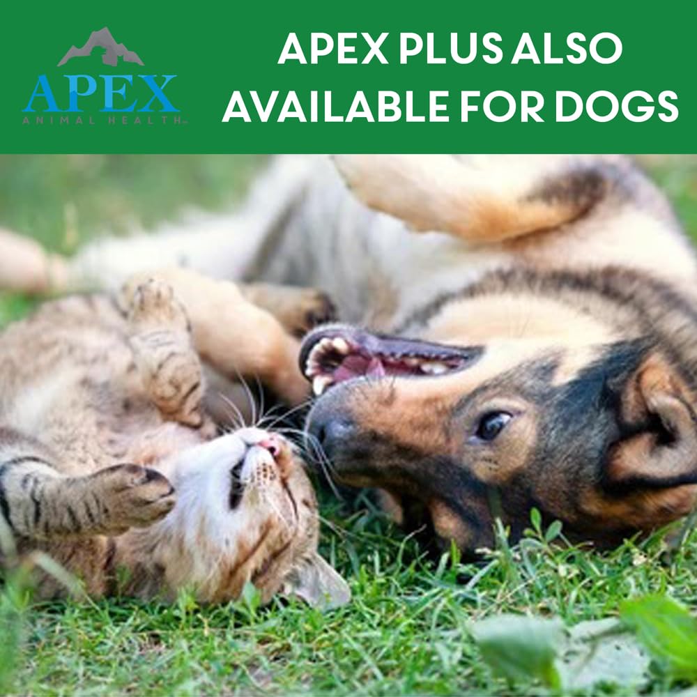Apex Plus pet owner using product shows easy application at home.