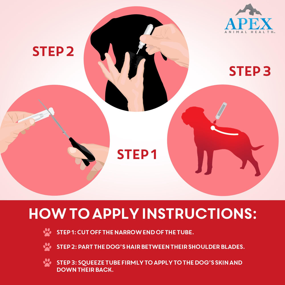APEX PLUS XL on dog's feet demonstrates all-around protection.