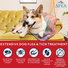 APEX PLUS XL packaging on shelf communicates year-round prevention.
