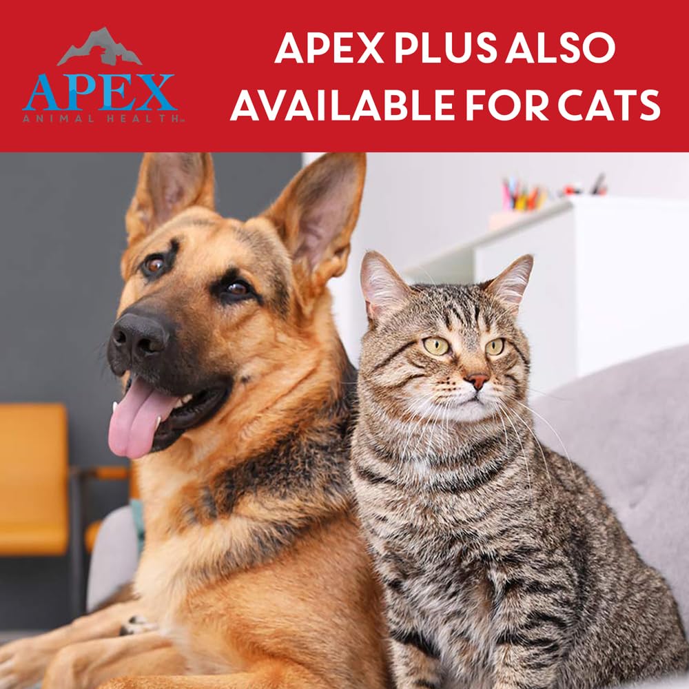 APEX PLUS XL rainy climate-use image suggests reliable protection in wet weather.