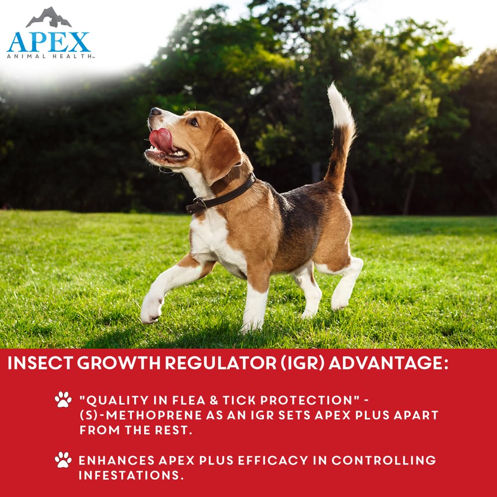 APEX PLUS XL waterproof feature activates 24 hours after application.