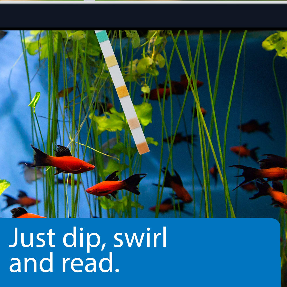 API 5-in-1 dipping strip used in-tank for fast checks.