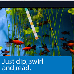 API 5-in-1 dipping strip used in-tank for fast checks.