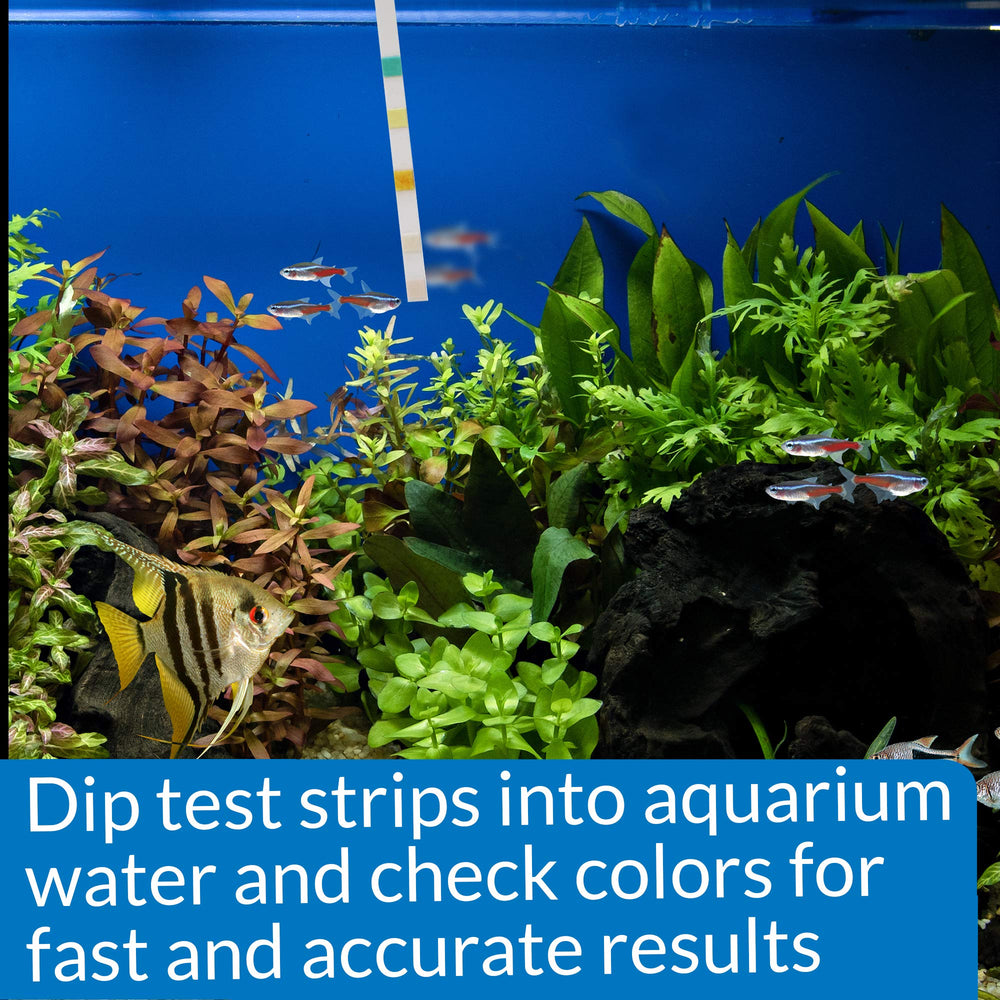 API 5-in-1 strips help reef and saltwater setups monitor health.