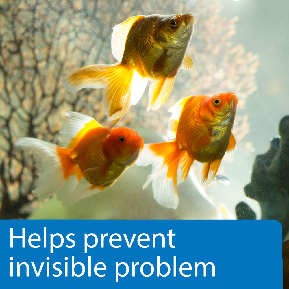 API 5-in-1 tests nitrite and nitrate to help prevent stress.