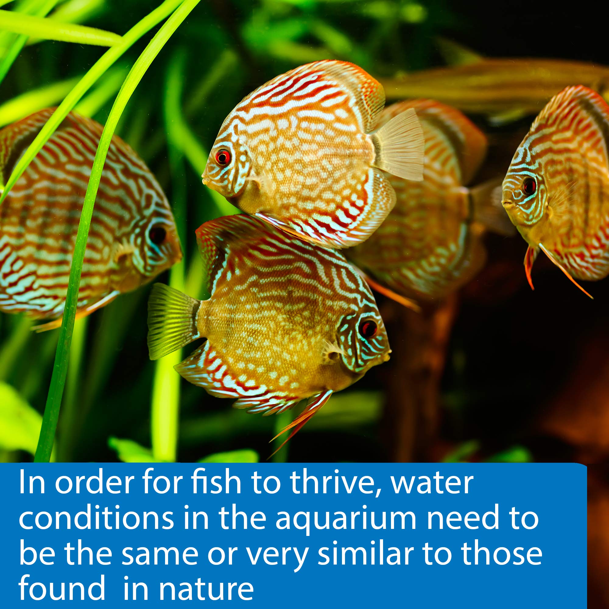 API 5-in-1 packaging, a clear setup aid for new aquariums.