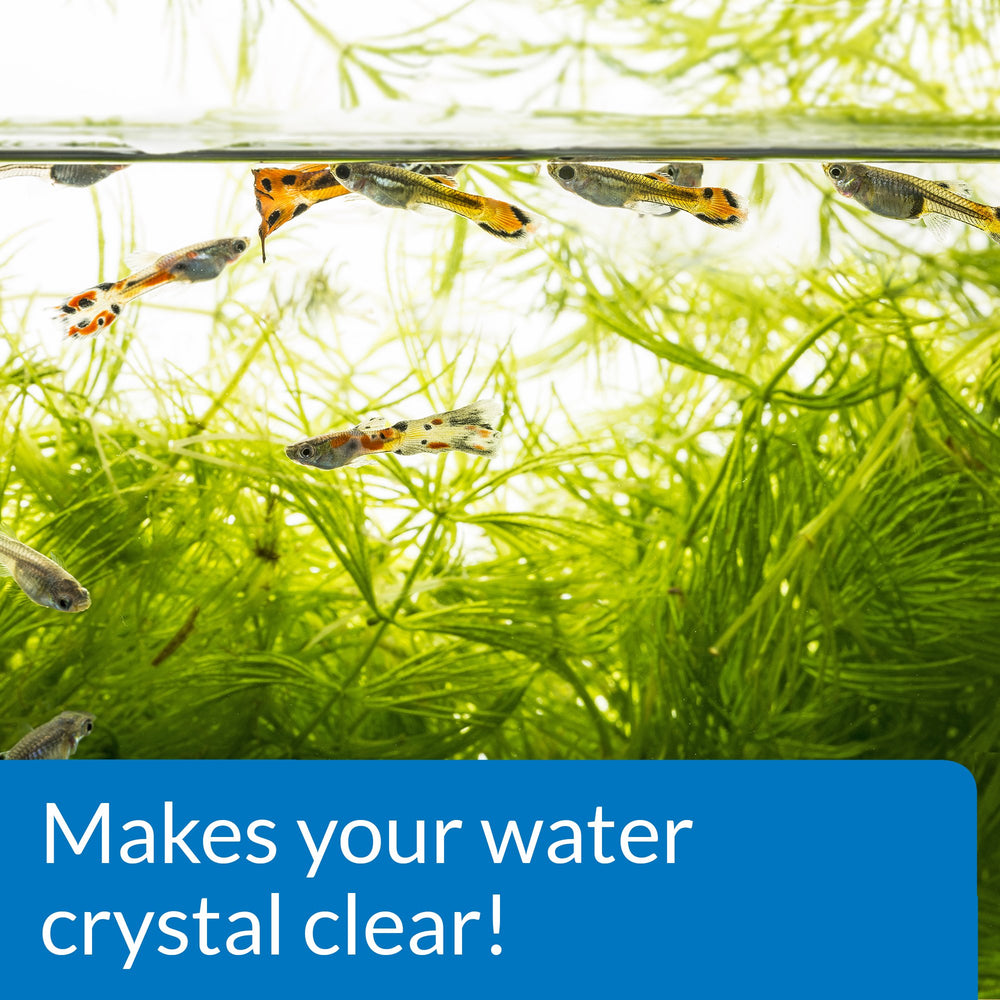 API ACCU-CLEAR quick-action scene suggests rapid improvement in clarity.