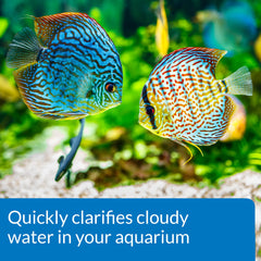 API ACCU-CLEAR floating-particles close-up shows clumps forming for easy removal by filter