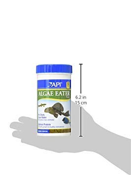 API Algae Eater Wafers feeding dish illustrates user-friendly feeding.