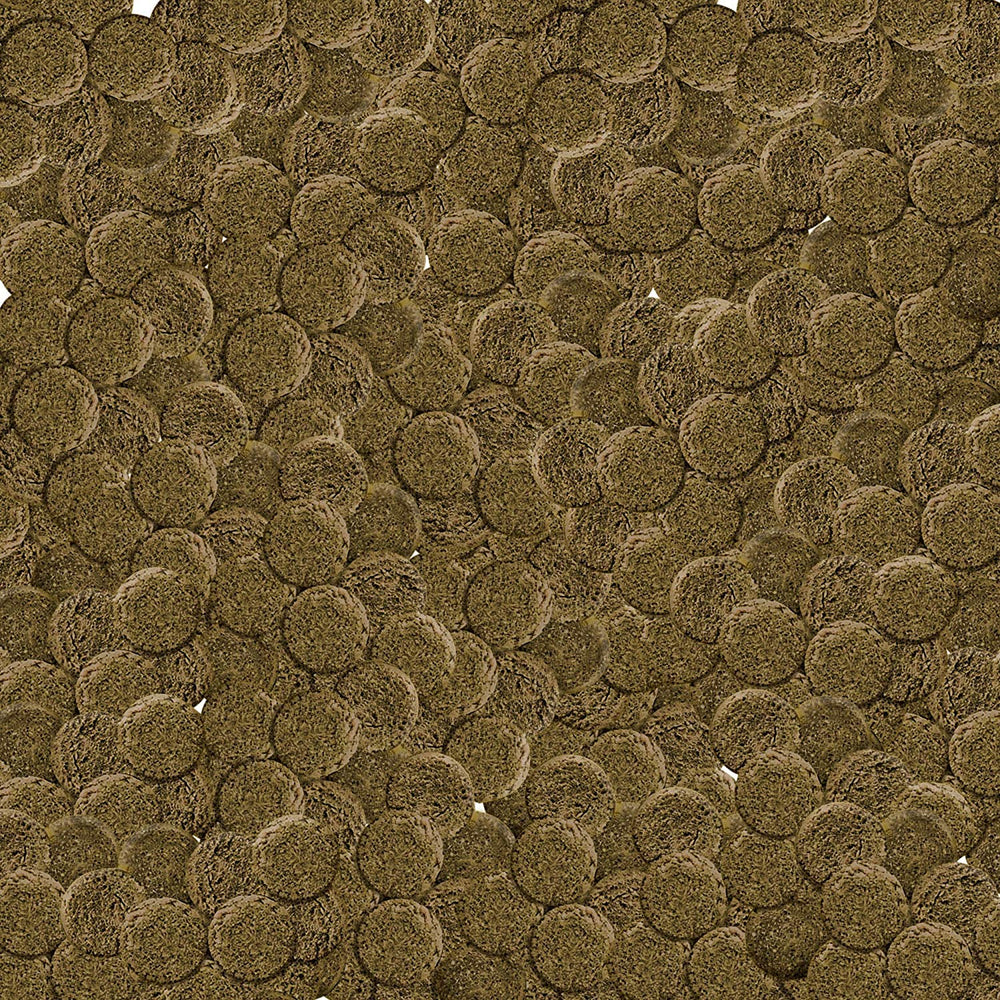 API Algae Eater Wafers ingredients highlight algae and Omega-3 for growth.