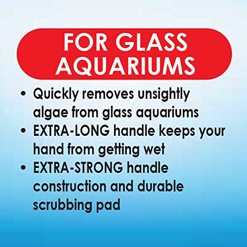 API ALGAE SCRAPER in use on glass aquarium for quick algae removal.