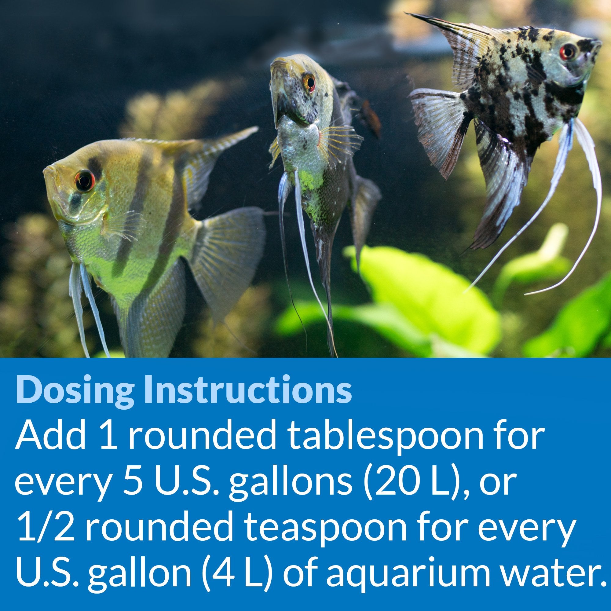 API Aquarium Salt caution with live plants highlights sensitivity to some aquatic greenery.
