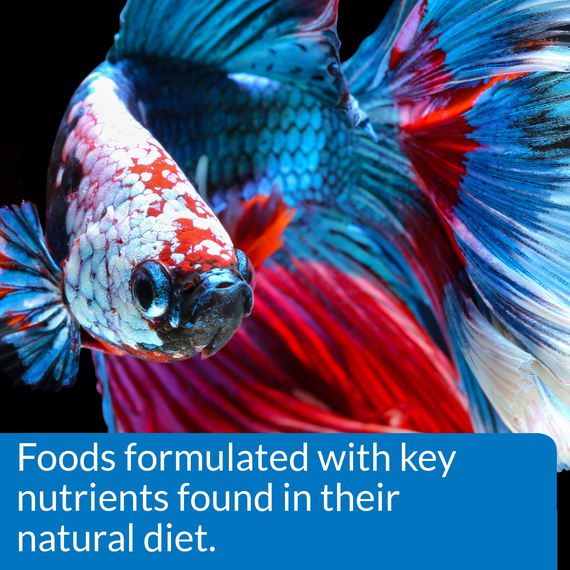 API Betta Food Water Clarity demonstrates how diet can support cleaner aquarium water.