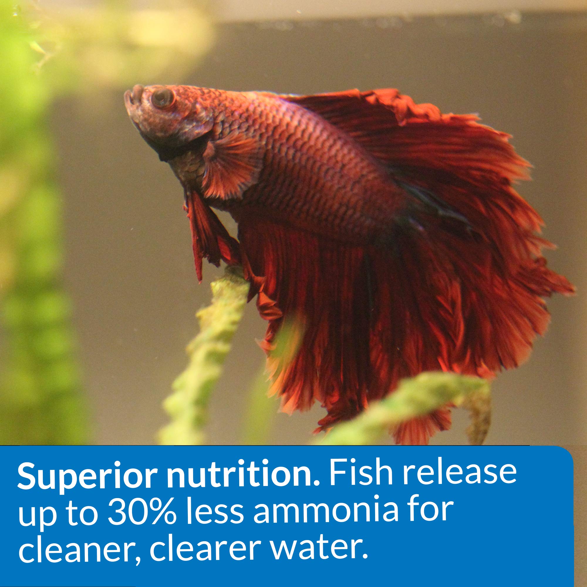 API Betta Food Ammonia Reduction illustrates cleaner water with less toxic ammonia buildup.