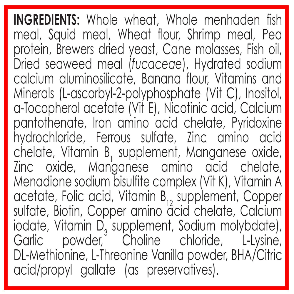 API Betta Food Serving Portion demonstrates feeding control for quick, two-minute meal windows.
