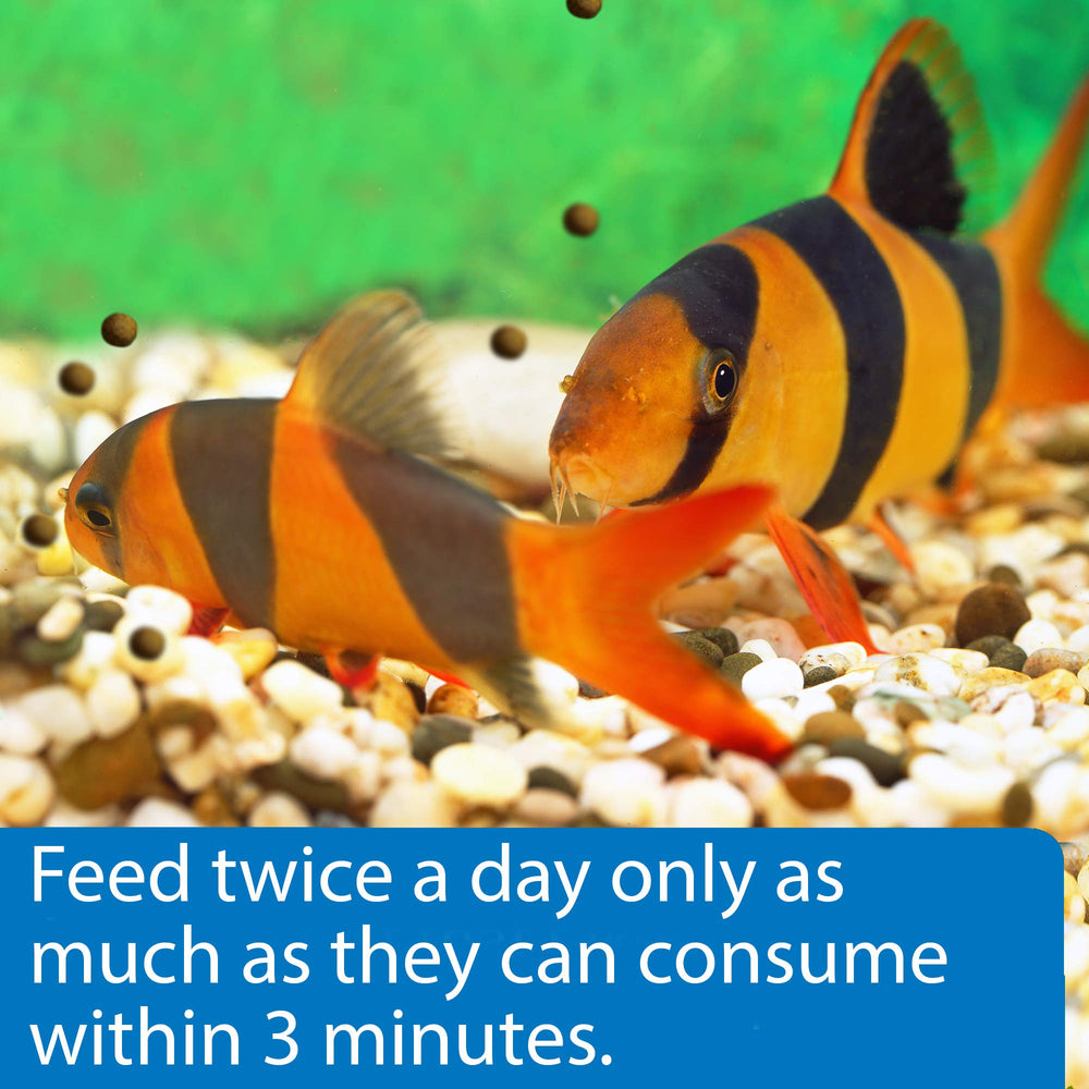 API Bottom Feeder Pellets digestion-optimized formula supports cleaner water.